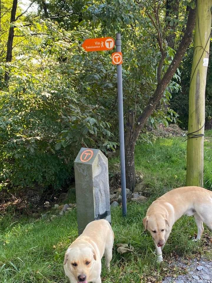Hanul Conitei Sovata Eksteriør billede